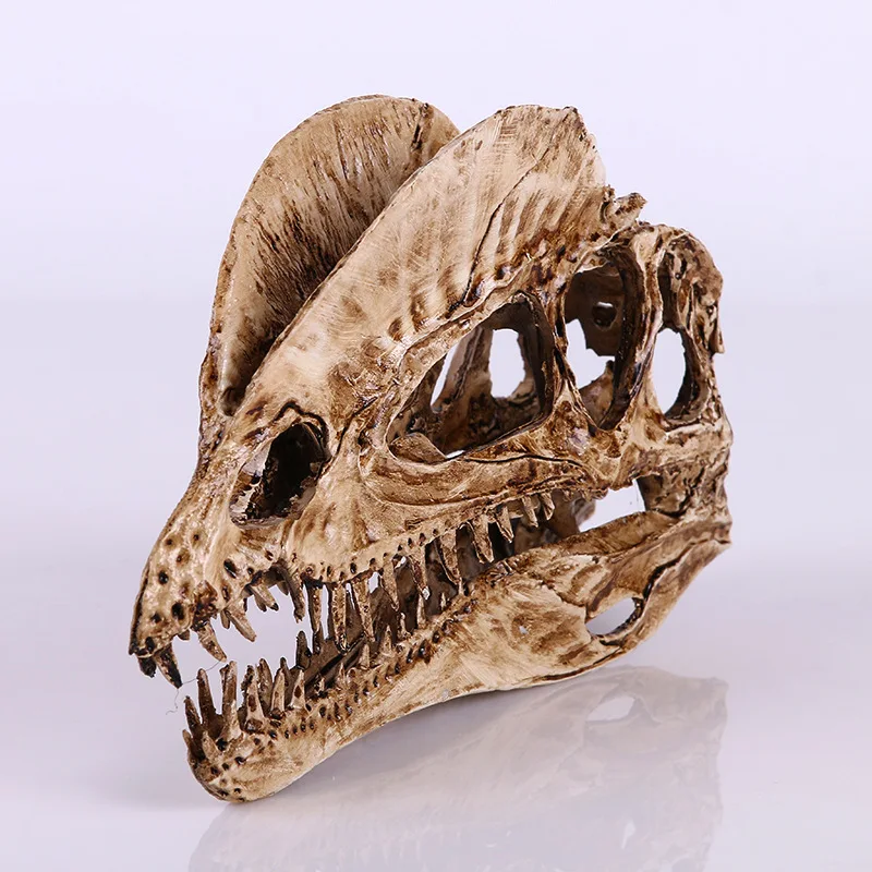 [MGT] الراتنج الحرفية الديكور  - مراجعة Dinosaur And Craft وسعره